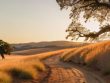 Mastering essential image composition techniques.
