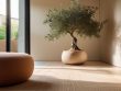 Latest interior design trends for modern homes.