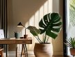 Creating a calming atmosphere in home offices.